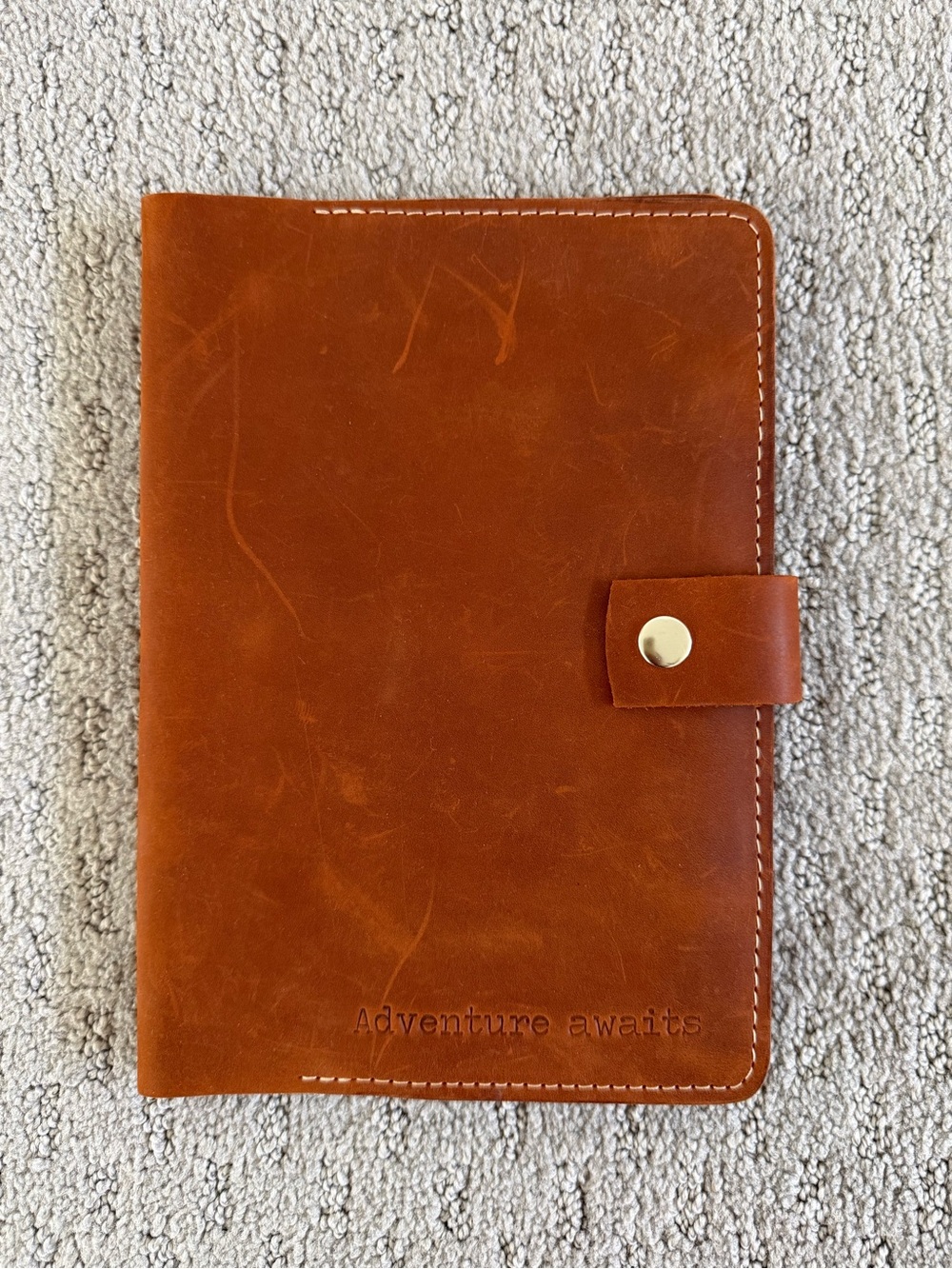 Family Passport Holder in Cognac